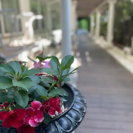 Park Cellini 4* Lido di Jesolo